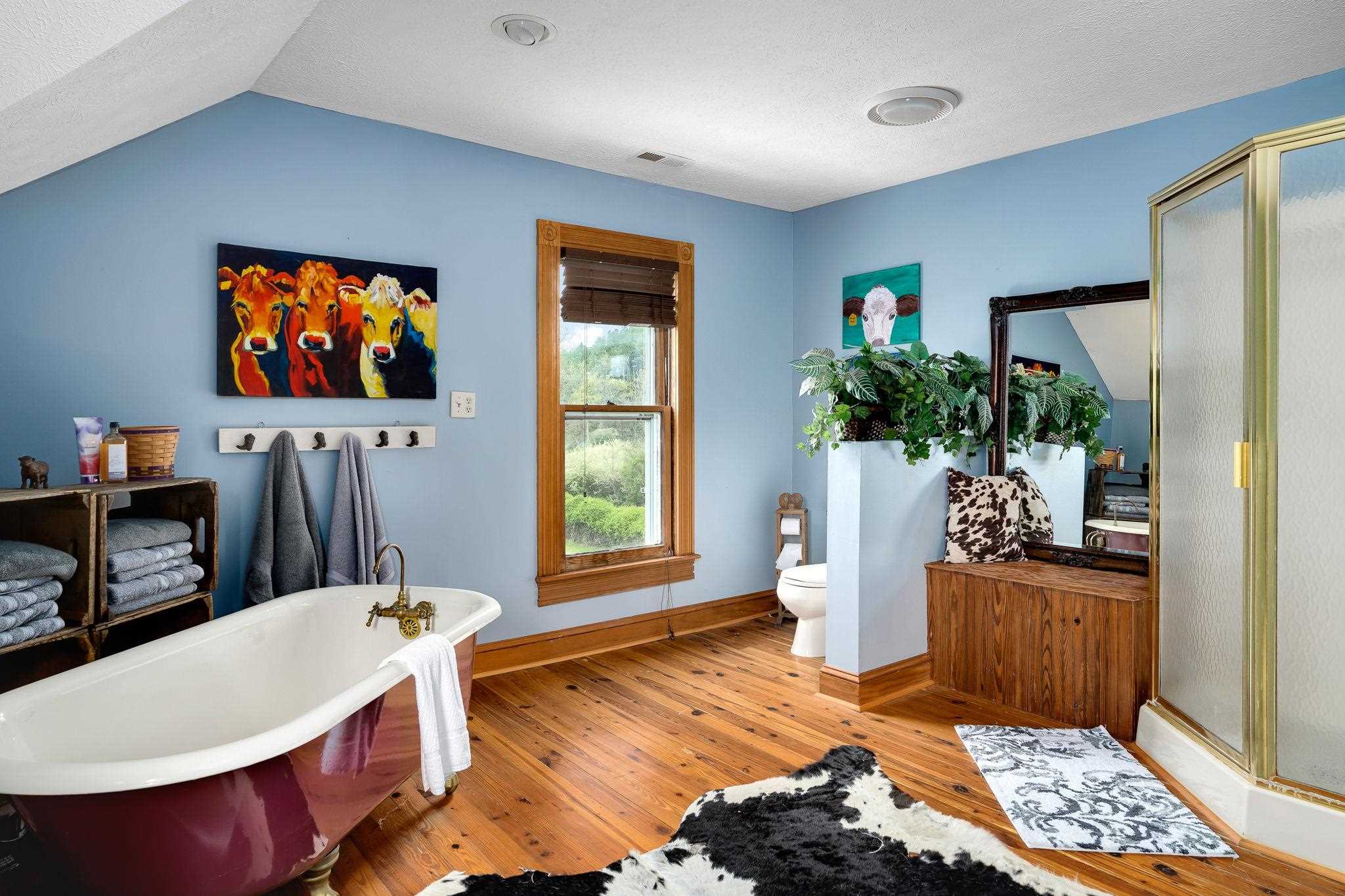 1167 Crooked Run Road Mount Jackson, VA 22842 - Photo 47 of 65 Gallery Image 47