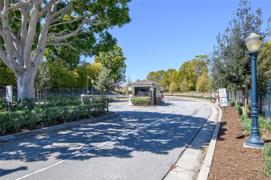 1 Santa Rosa Court Manhattan Beach, CA 90266 - Photo 26 of 28 a view of a yard with plants and trees