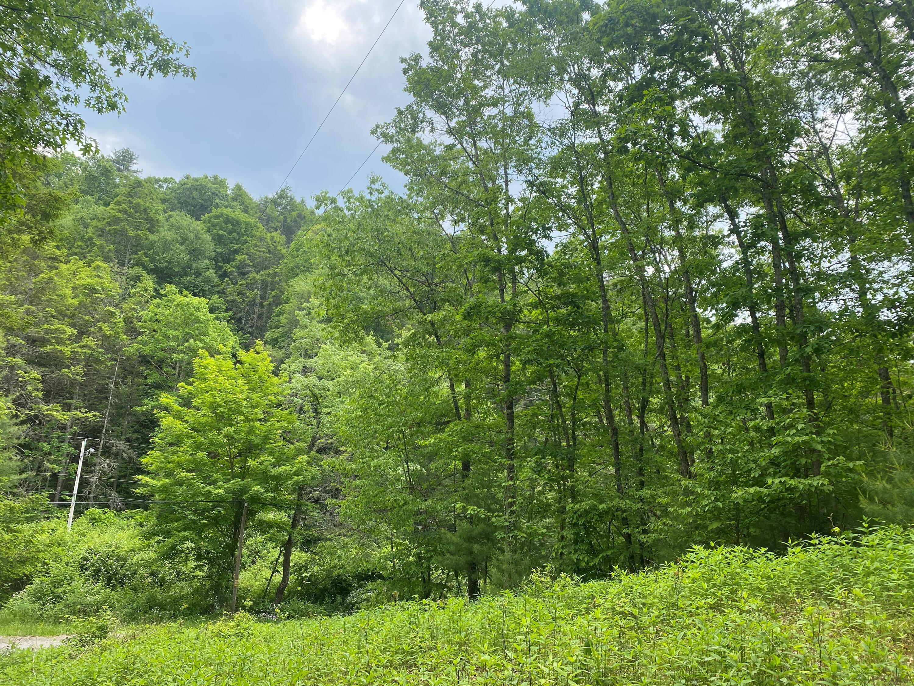 Curry Road Dunmore, WV 24934 - Photo 6 of 10 Gallery Image 6