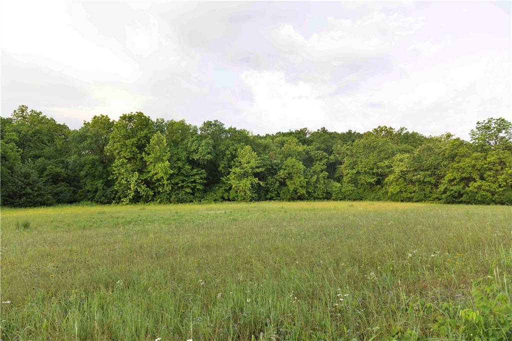 Wilderness Camp Road Lawson, MO 64062 - Photo 12 of 90