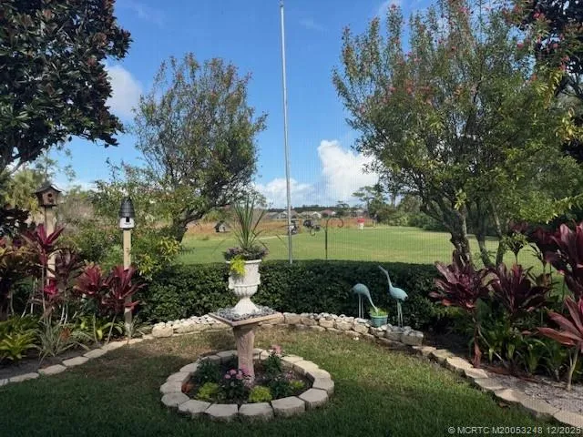 a view of a backyard with plants and a garden