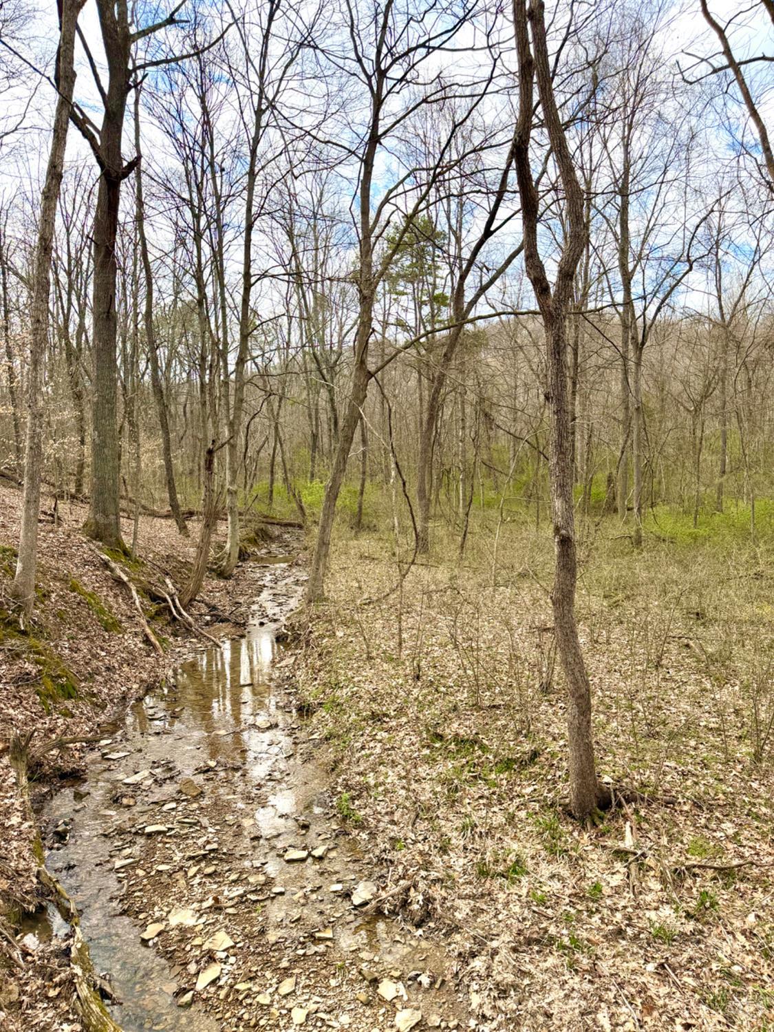 0 Fyffe Hollow Road Chillicothe, OH 45601 - Photo 81 of 96