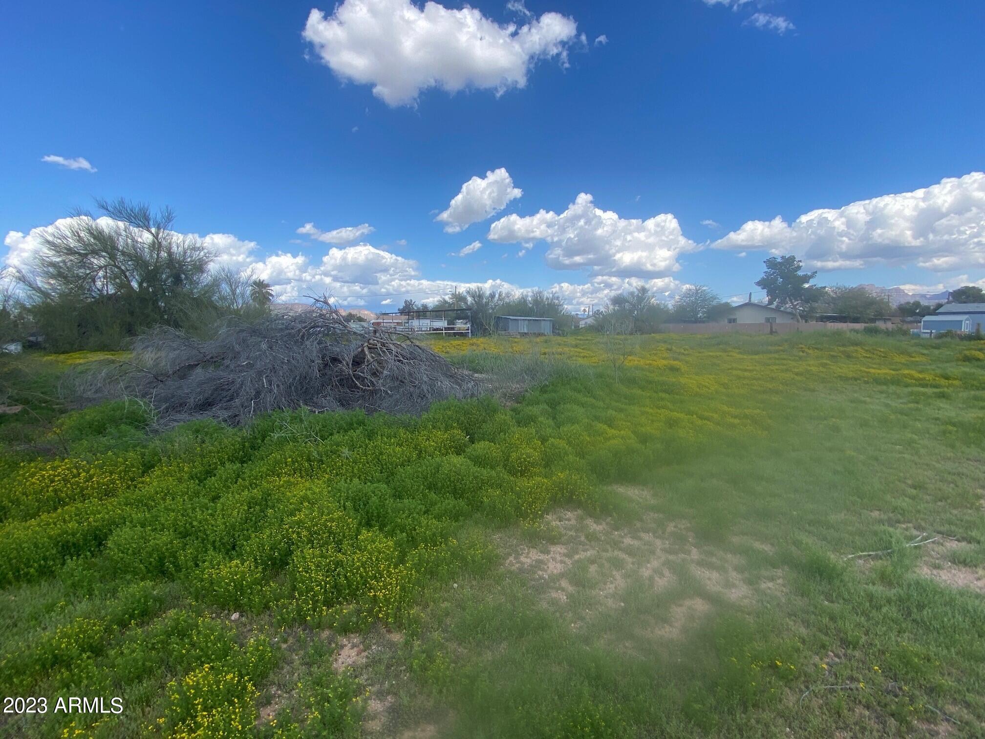1549 South Meridian Road, Unit 1 Apache Junction, AZ 85120 - Photo 6 of 7 4