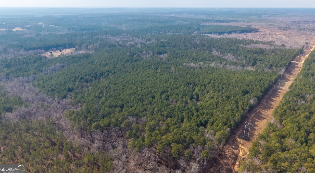 0 St Mary's Road Southwest, Unit A Crawfordville, GA 30631 - Photo 11 of 14