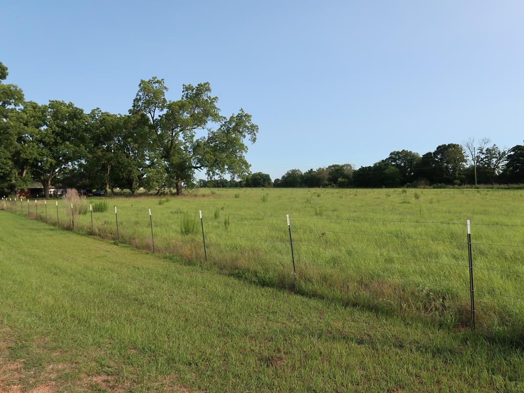 0 East Columbia Road Newville, AL 36353 - Photo 2 of 15