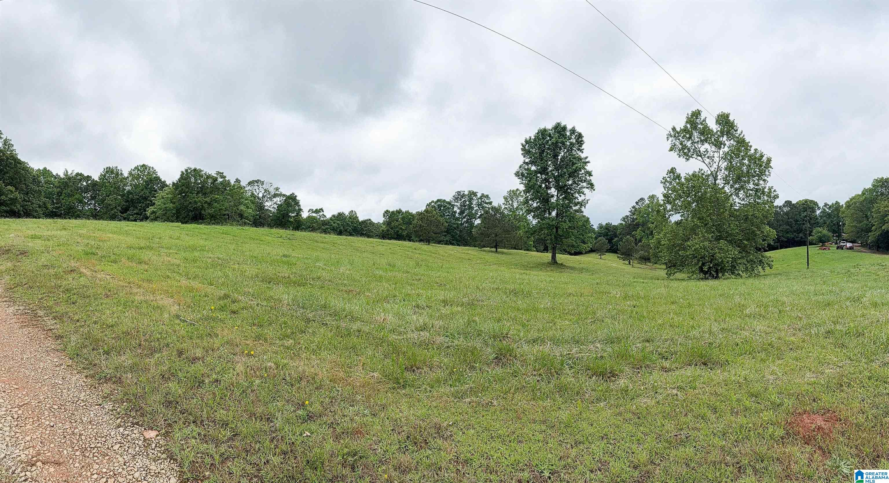 2488 Louina Road Roanoke, AL 36274 - Photo 71 of 97