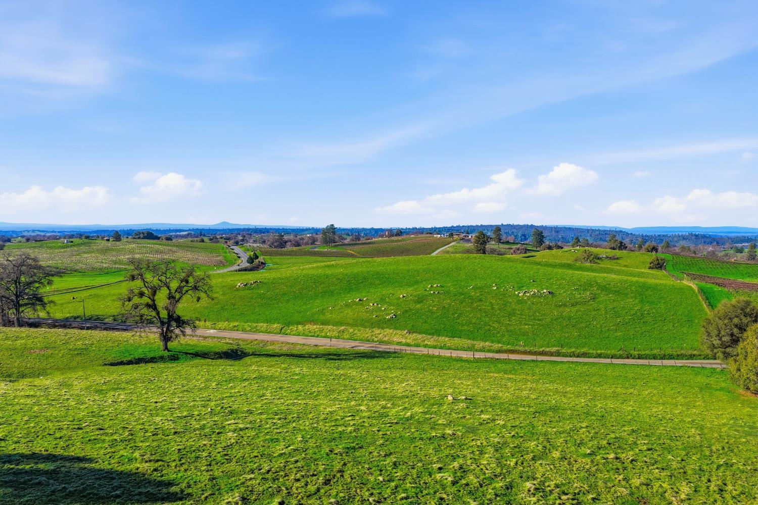 11777 Shenandoah Road Plymouth, CA 95669 - Photo 12 of 43 a view of a field with grass and a yard