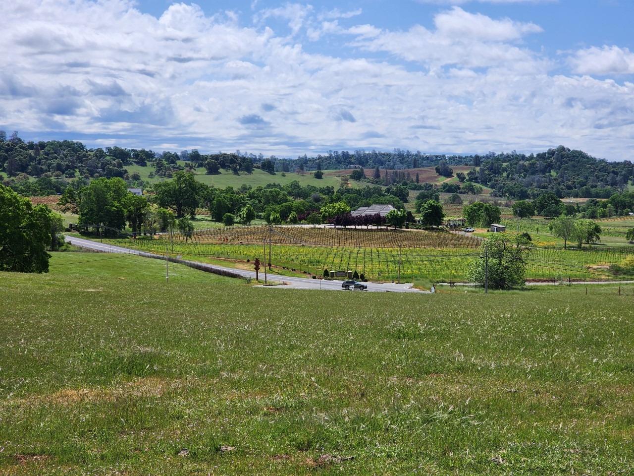 11777 Shenandoah Road Plymouth, CA 95669 - Photo 13 of 43 a view of a golf course with a lake