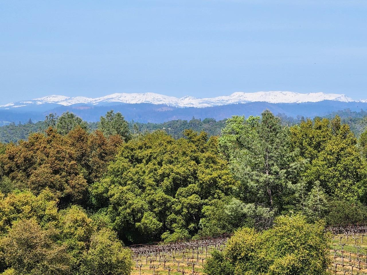 11777 Shenandoah Road Plymouth, CA 95669 - Photo 15 of 43 a view of a city with a mountain in the background