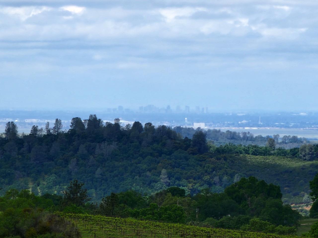 11777 Shenandoah Road Plymouth, CA 95669 - Photo 16 of 43 an aerial view of residential house and trees around