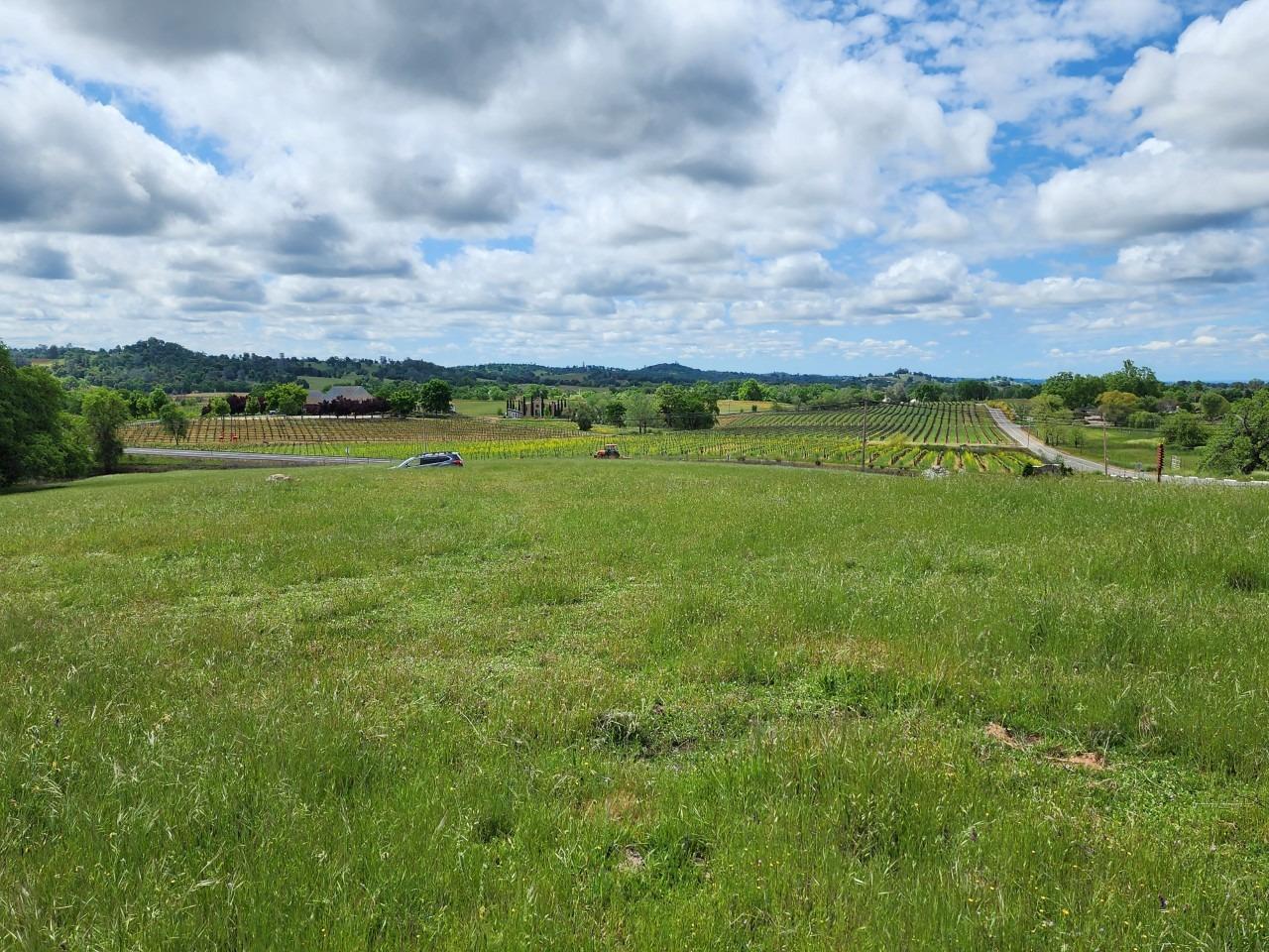 11777 Shenandoah Road Plymouth, CA 95669 - Photo 17 of 43 a view of an ocean and a yard