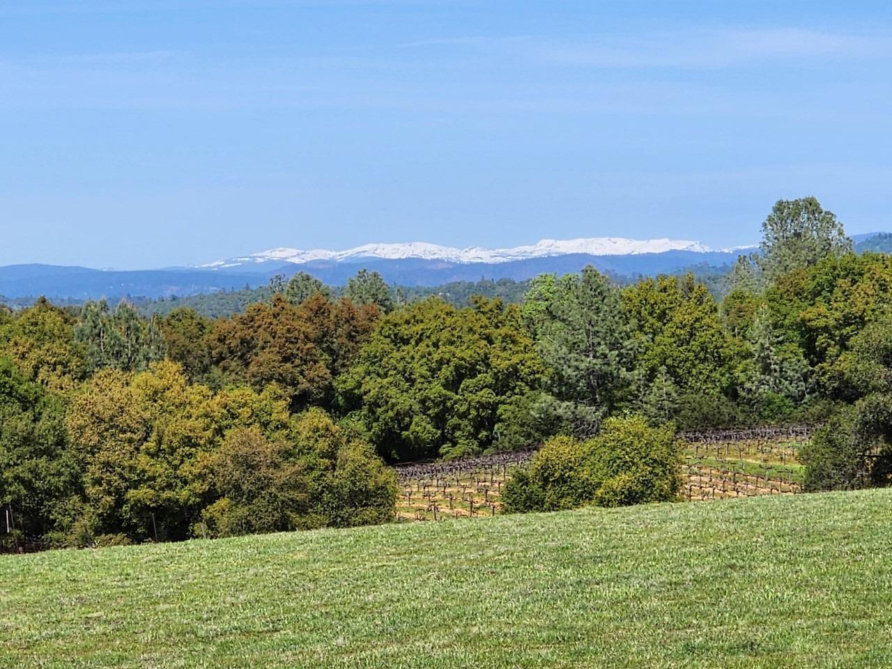 11777 Shenandoah Road Plymouth, CA 95669 - Photo 19 of 43 a view of a field with an ocean