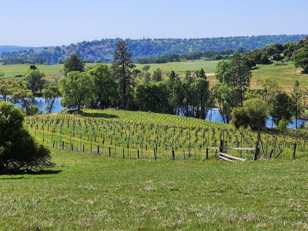 11777 Shenandoah Road Plymouth, CA 95669 - Photo 20 of 43 a view of a lush green hillside and houses