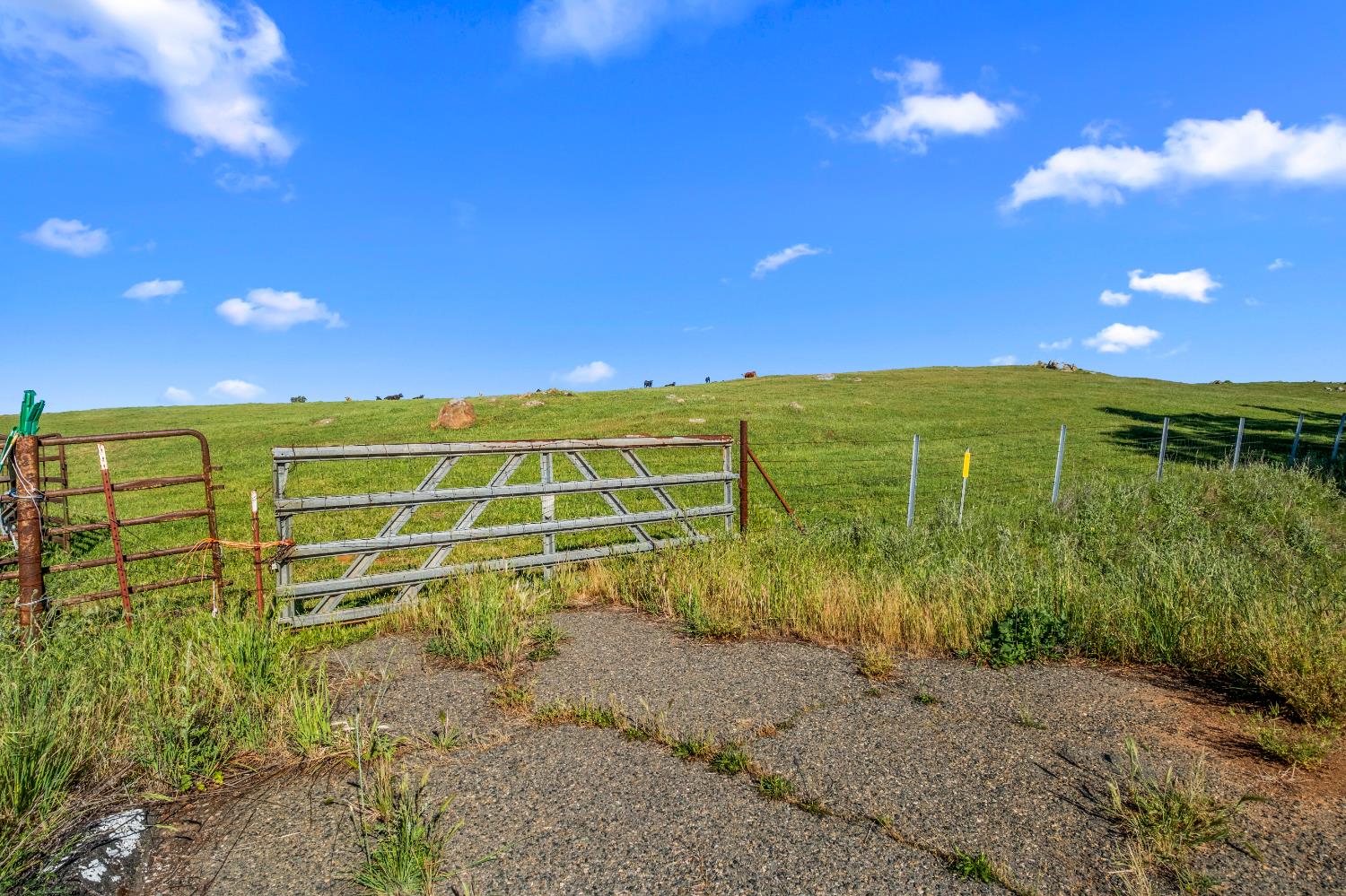 11777 Shenandoah Road Plymouth, CA 95669 - Photo 21 of 43 a view of a field with an empty space