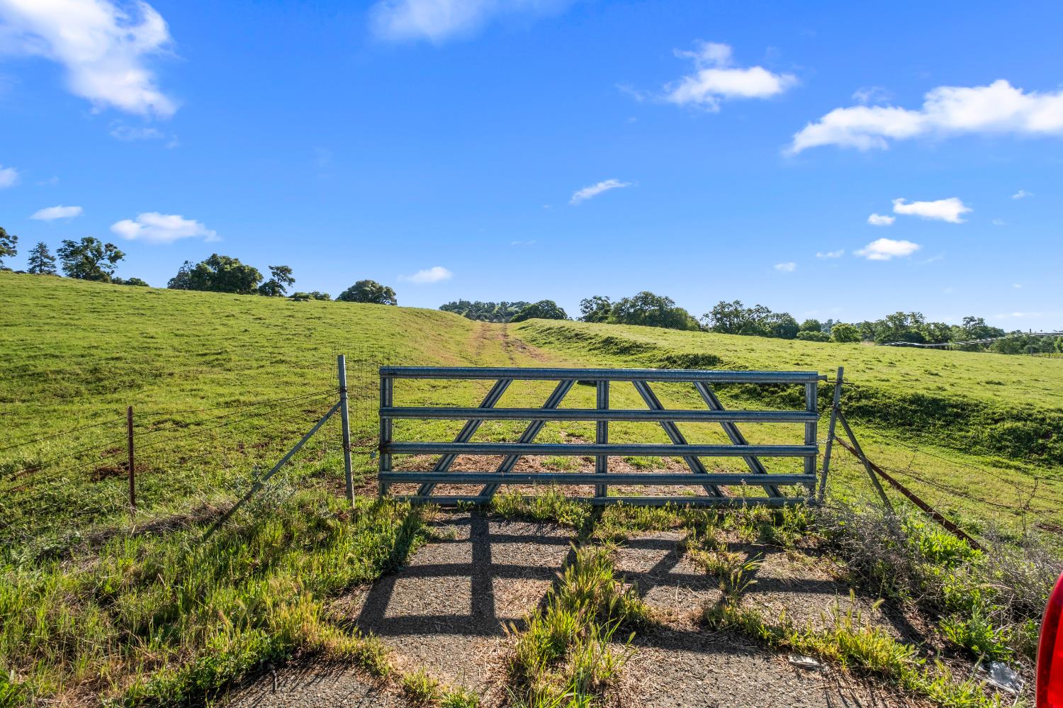 11777 Shenandoah Road Plymouth, CA 95669 - Photo 23 of 43