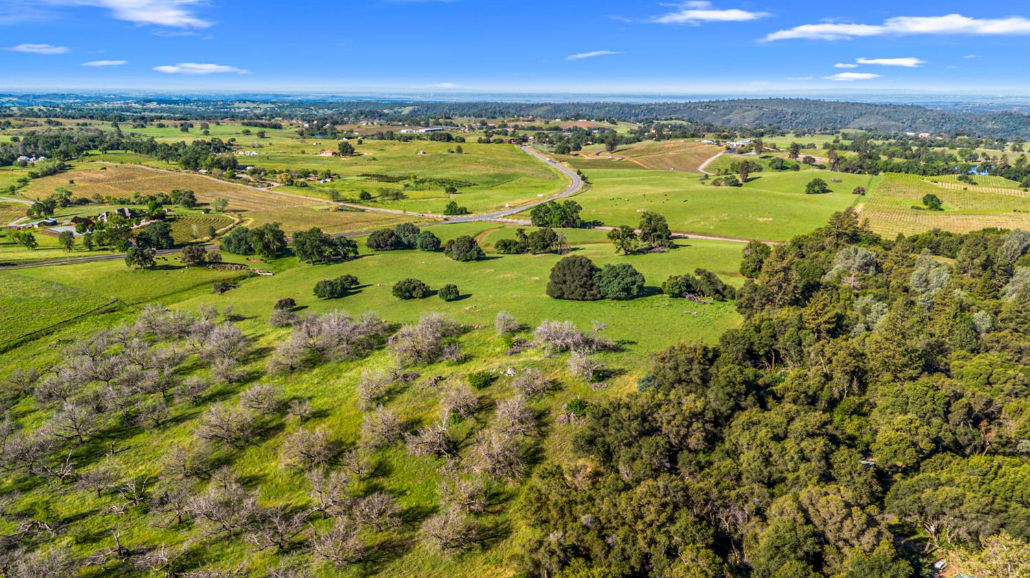 11777 Shenandoah Road Plymouth, CA 95669 - Photo 35 of 43