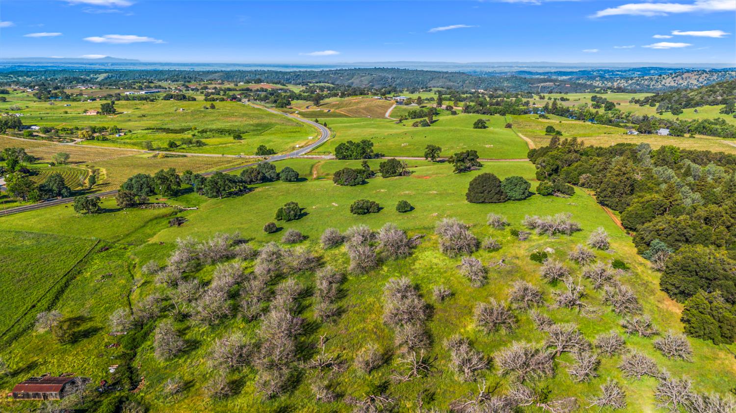 11777 Shenandoah Road Plymouth, CA 95669 - Photo 36 of 43 a view of an ocean and a yard
