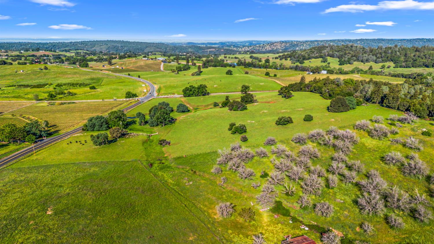 11777 Shenandoah Road Plymouth, CA 95669 - Photo 37 of 43 a view of an ocean and a yard