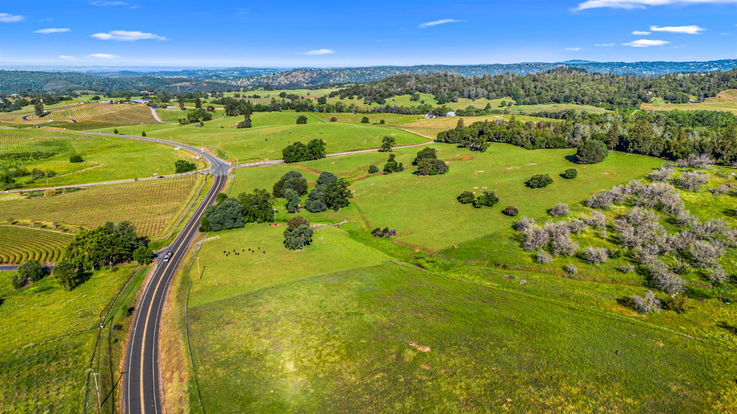 11777 Shenandoah Road Plymouth, CA 95669 - Photo 38 of 43