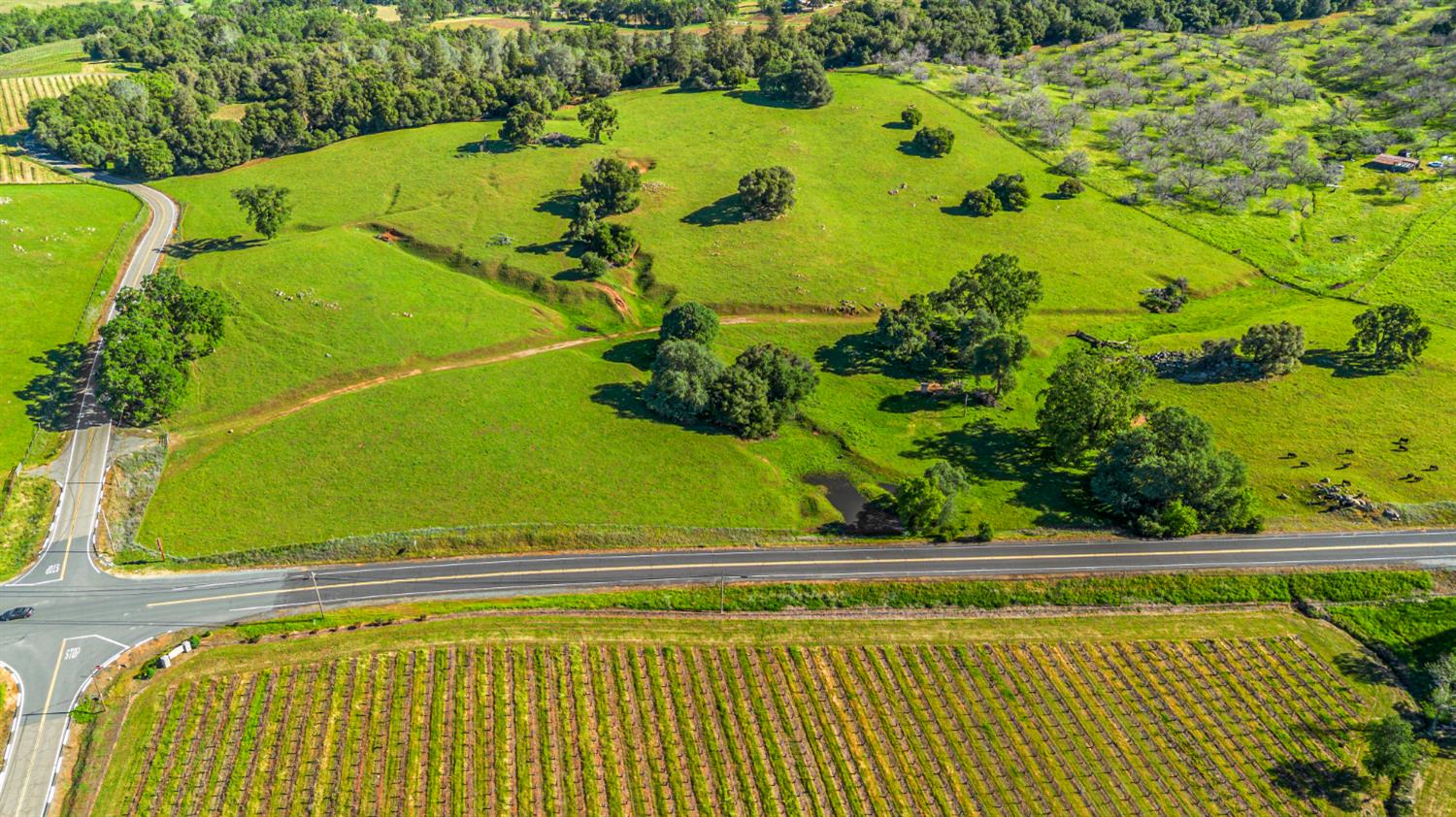 11777 Shenandoah Road Plymouth, CA 95669 - Photo 43 of 43 a view of a swimming pool and an outdoor space
