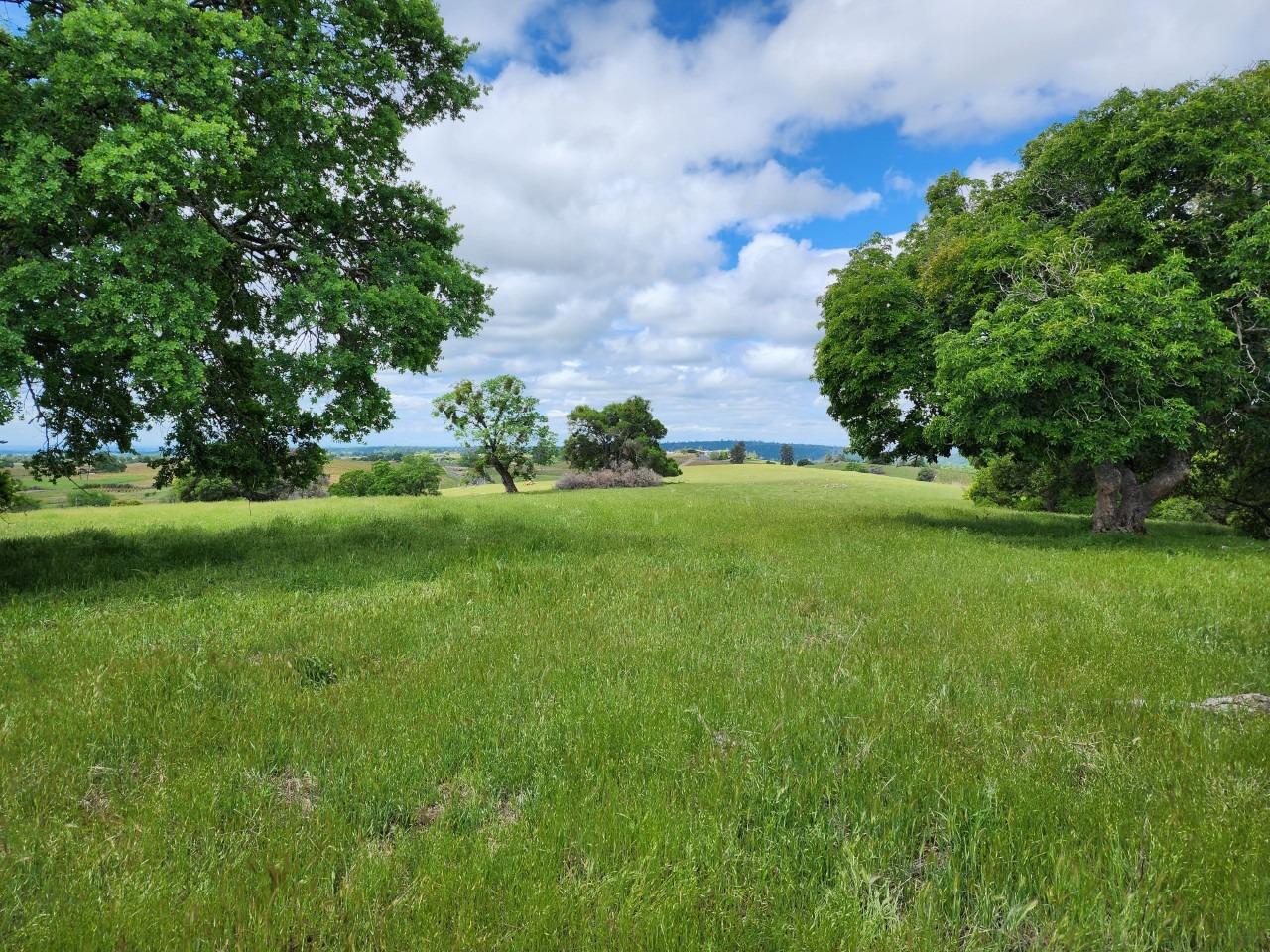 11777 Shenandoah Road Plymouth, CA 95669 - Photo 8 of 43 a view of an outdoor space and yard