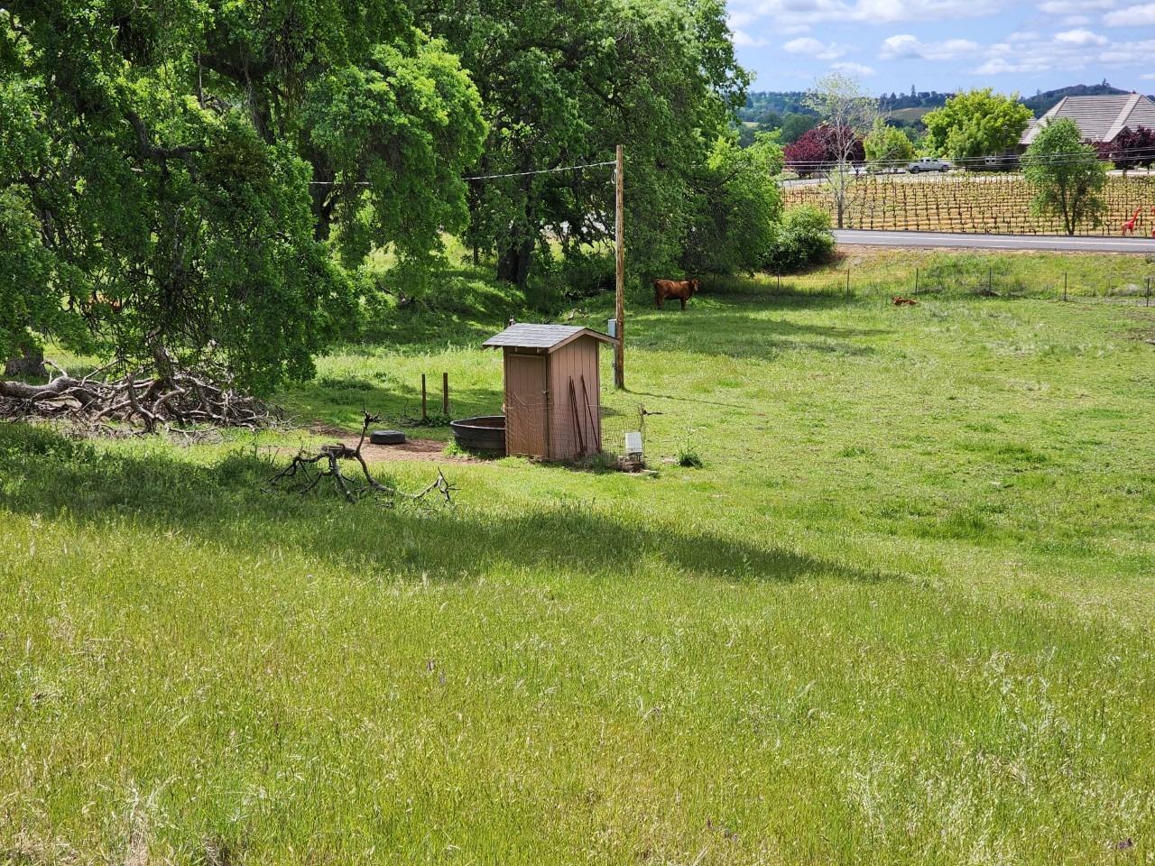 11777 Shenandoah Road Plymouth, CA 95669 - Photo 9 of 43 a view of a garden with an outdoor space