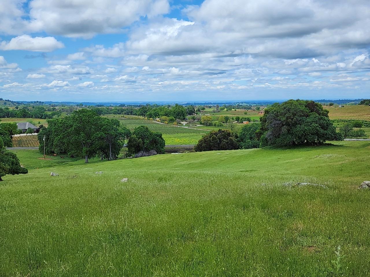11777 Shenandoah Road Plymouth, CA 95669 - Photo 10 of 43 a view of a garden with mountains in the background