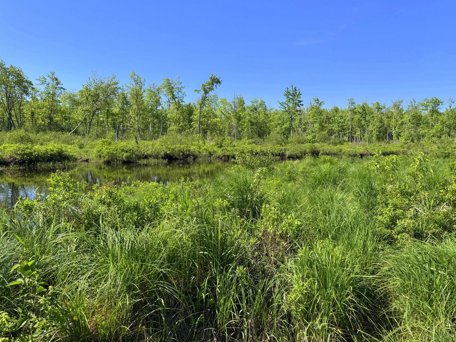 Lot 2 Kingfield Road New Vineyard, ME 04956 - Photo 6 of 9