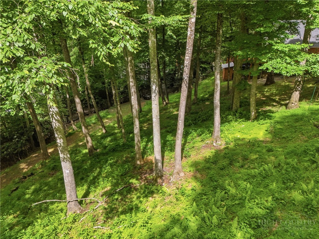 176 Raven View Boone, NC 28607 - Photo 35 of 39