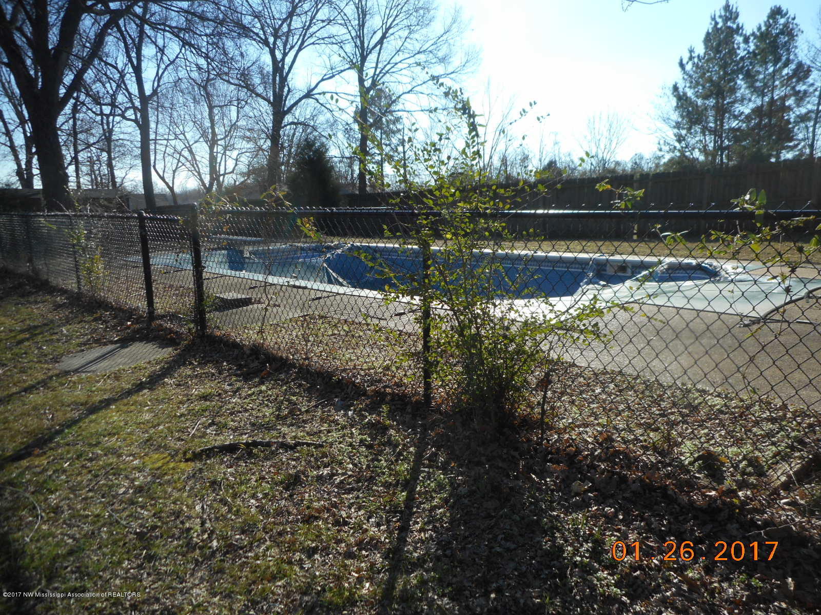 5925 Coleman Road Olive Branch, MS 38654 - Photo 5 of 13 DSCN0706 - Copy