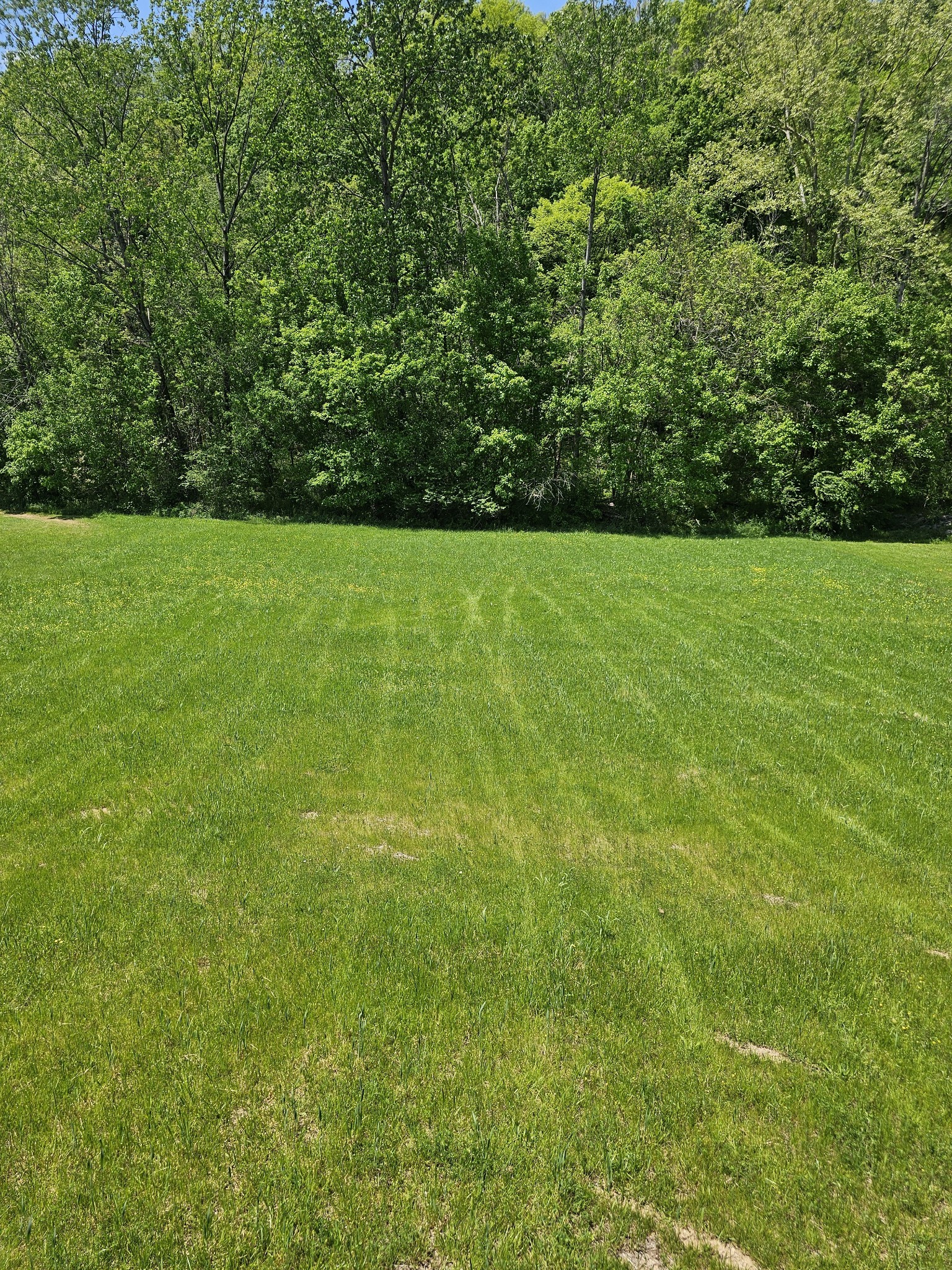 4020 Hartsville Road Lafayette, TN 37083 - Photo 18 of 19 a view of a garden