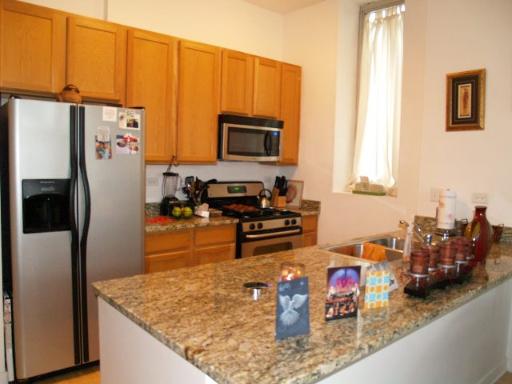 1600 South Indiana Avenue, Unit 902 Chicago, IL 60616 - Photo 3 of 13