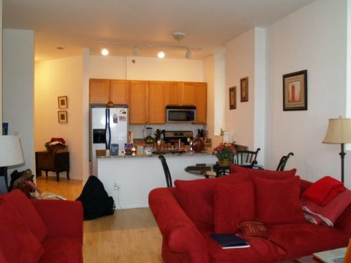 1600 South Indiana Avenue, Unit 902 Chicago, IL 60616 - Photo 4 of 13
