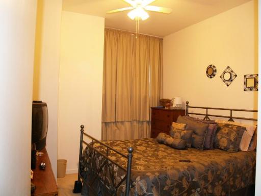 1600 South Indiana Avenue, Unit 902 Chicago, IL 60616 - Photo 5 of 13