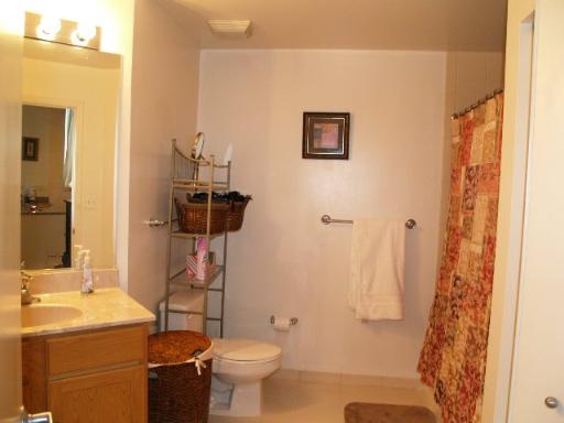 1600 South Indiana Avenue, Unit 902 Chicago, IL 60616 - Photo 7 of 13