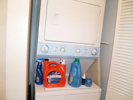 1600 South Indiana Avenue, Unit 902 Chicago, IL 60616 - Photo 8 of 13