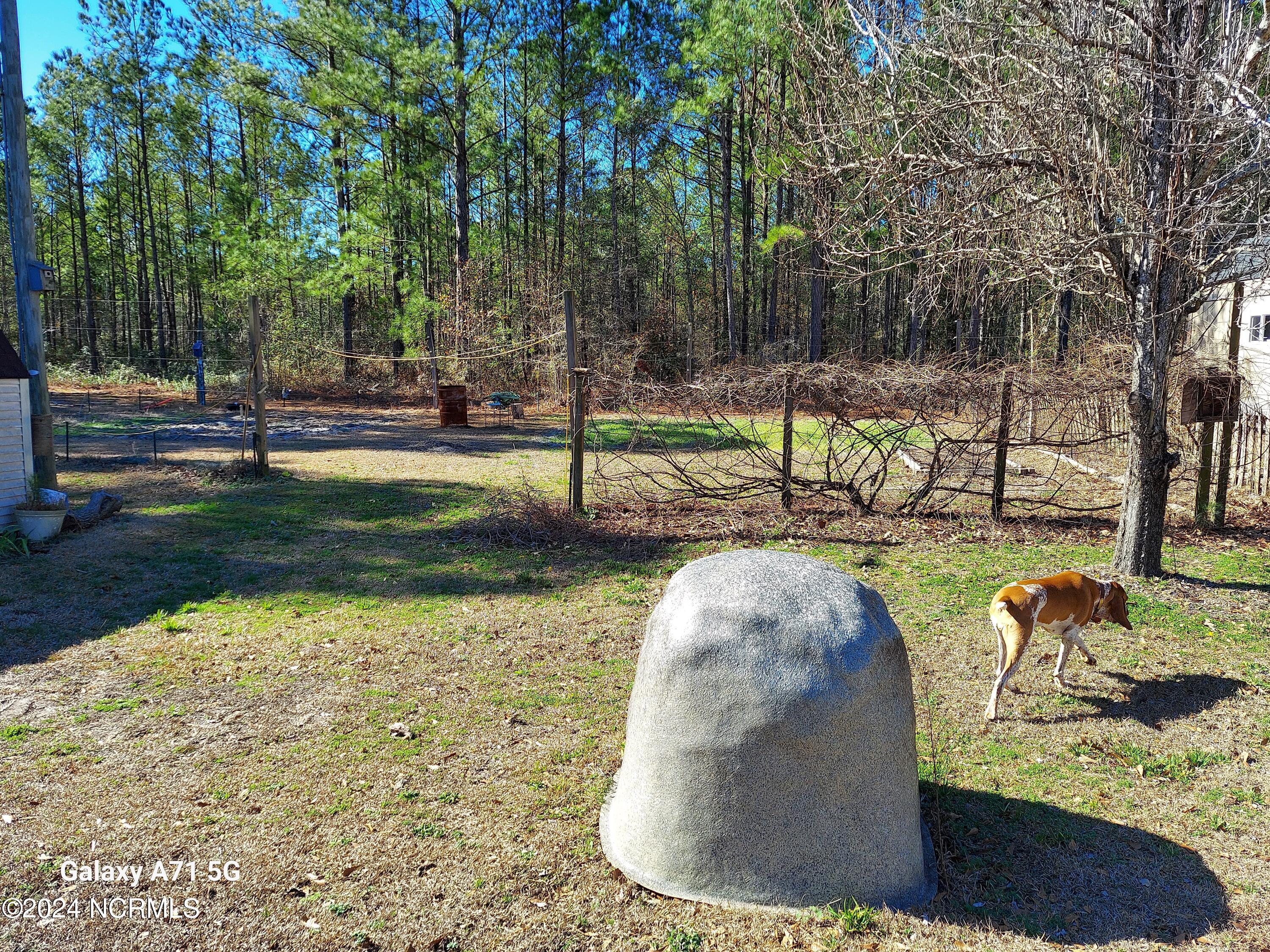 3903 Blueberry Road Currie, NC 28435 - Photo 32 of 33 20240128_121628