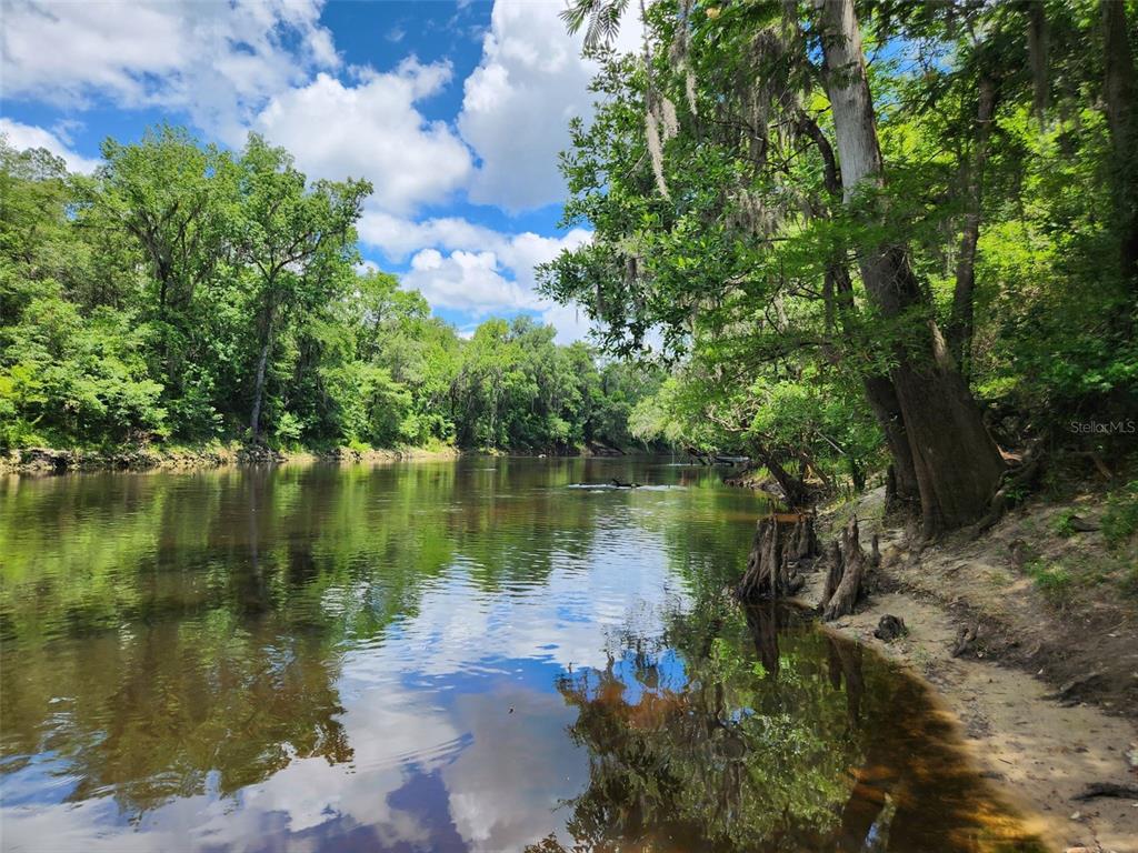 0 Th Jasper, FL 32052 - Photo 4 of 5 a body of water with a tree in the background