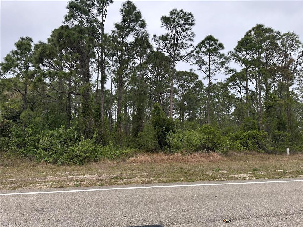 918 Homestead Road South Lehigh Acres, FL 33974 - Photo 1 of 1