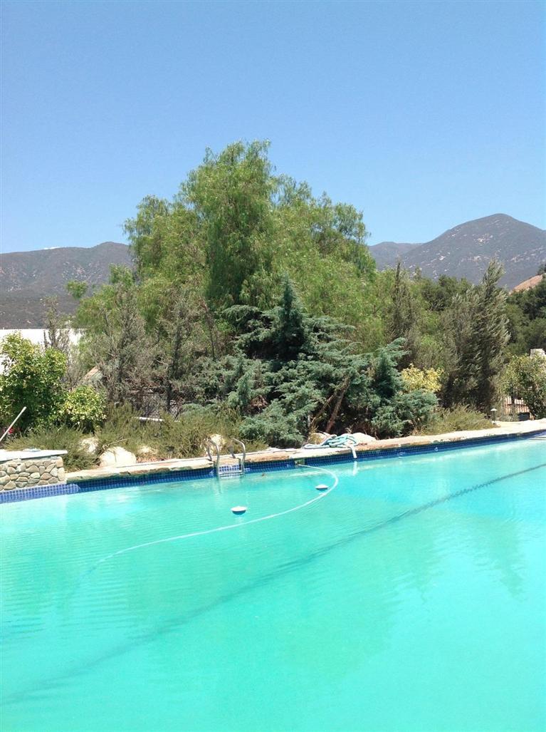 832 Oso Road Ojai, CA 93023 - Photo 13 of 39 Gallery Image 13