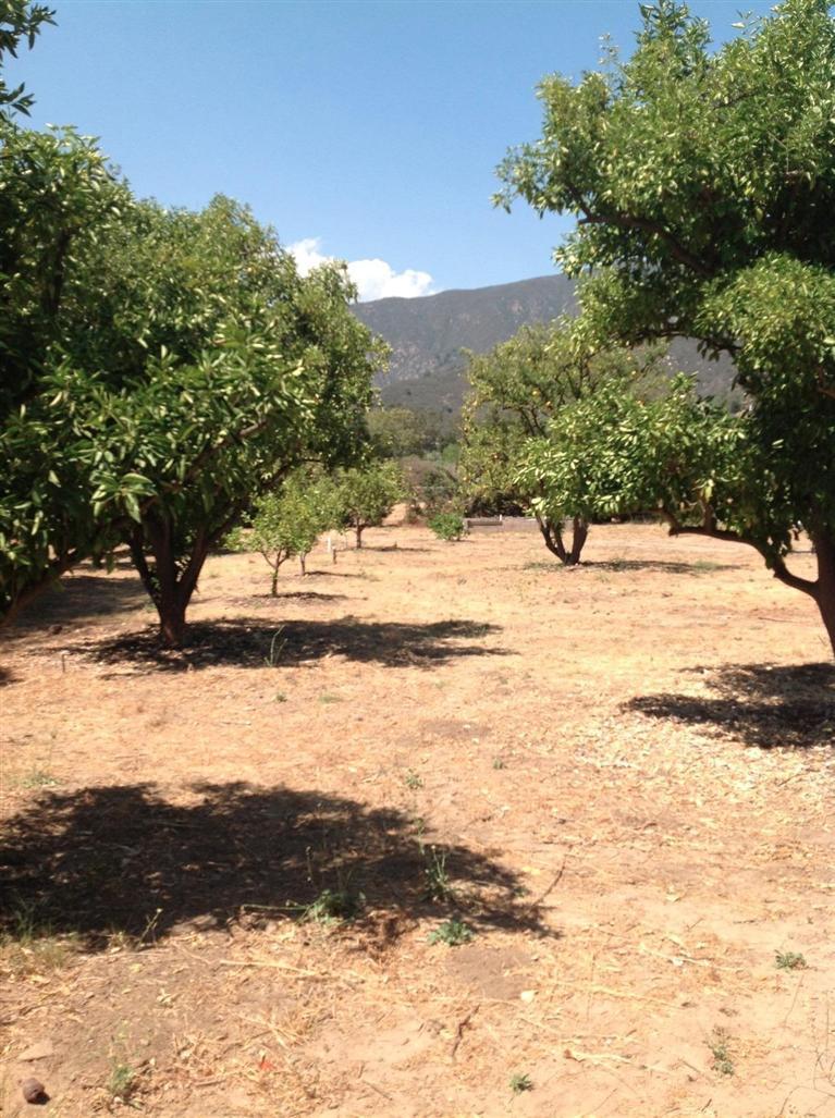 832 Oso Road Ojai, CA 93023 - Photo 33 of 39 Gallery Image 33