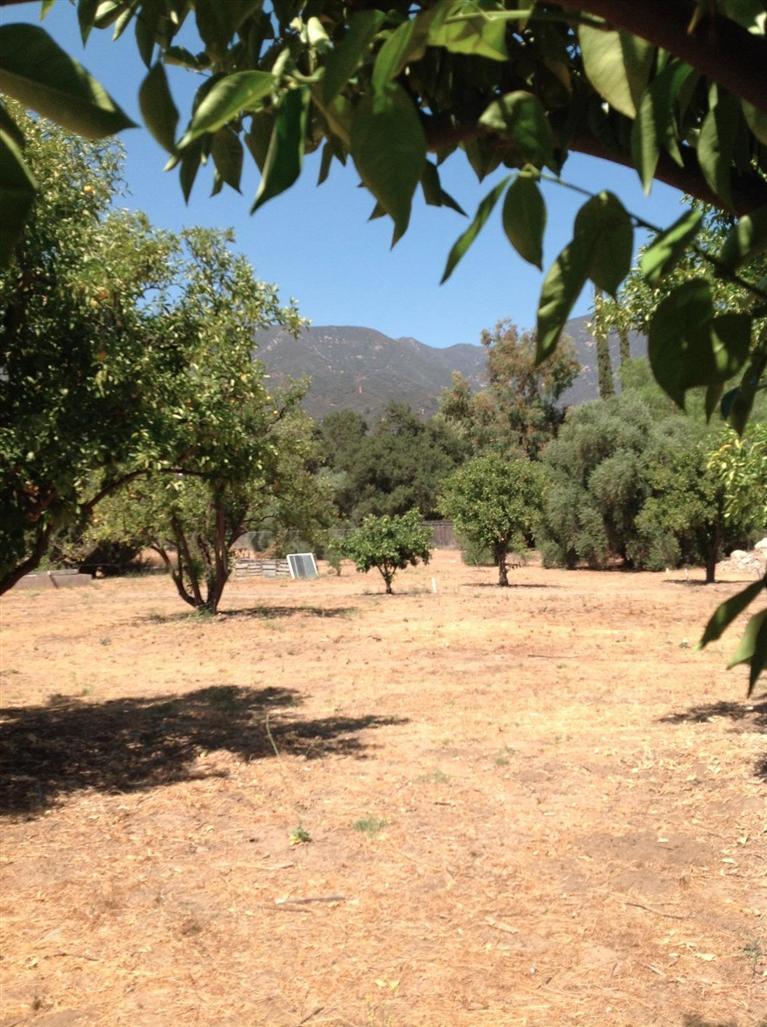 832 Oso Road Ojai, CA 93023 - Photo 34 of 39 Gallery Image 34