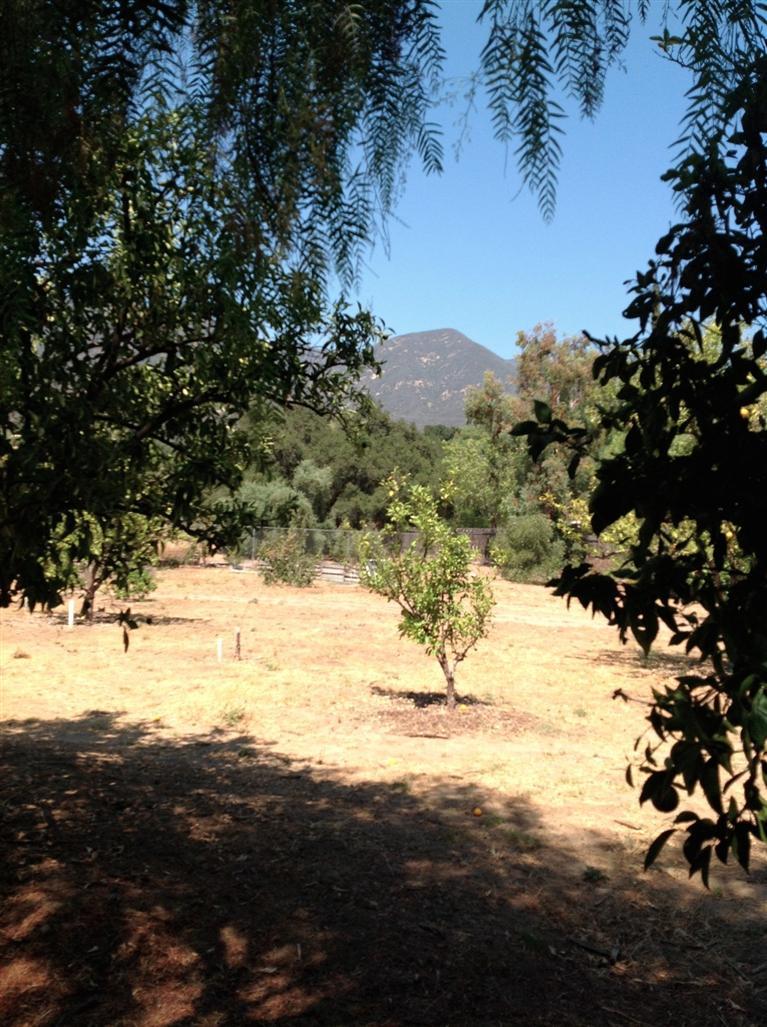832 Oso Road Ojai, CA 93023 - Photo 37 of 39 Gallery Image 37