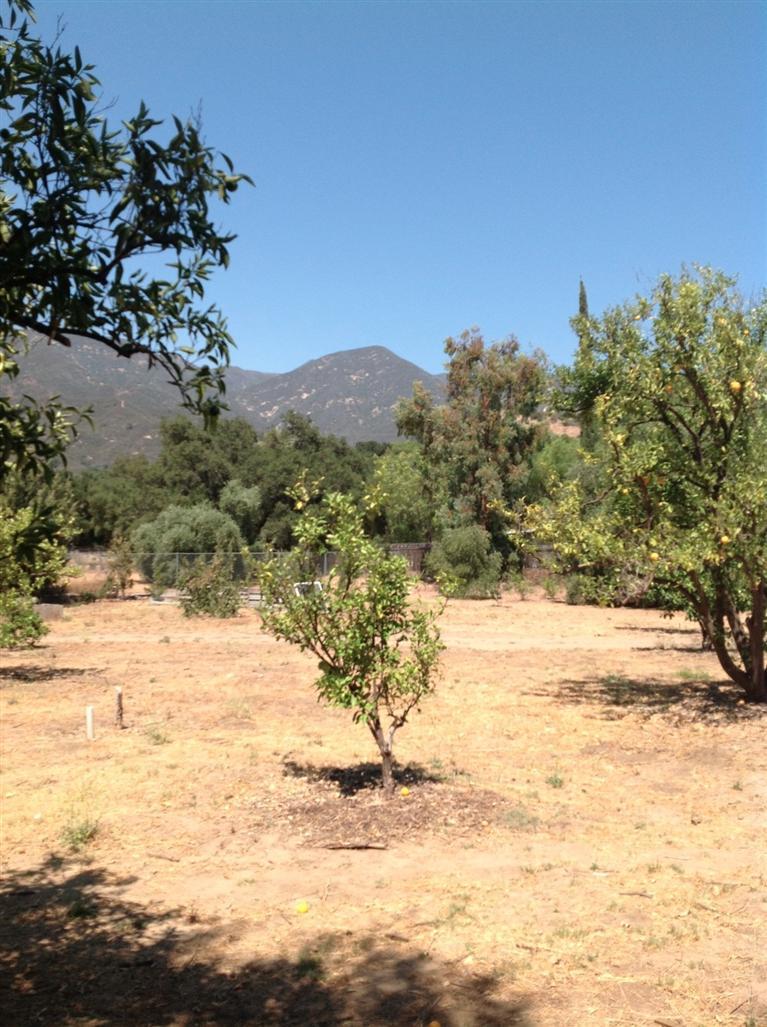 832 Oso Road Ojai, CA 93023 - Photo 38 of 39 Gallery Image 38