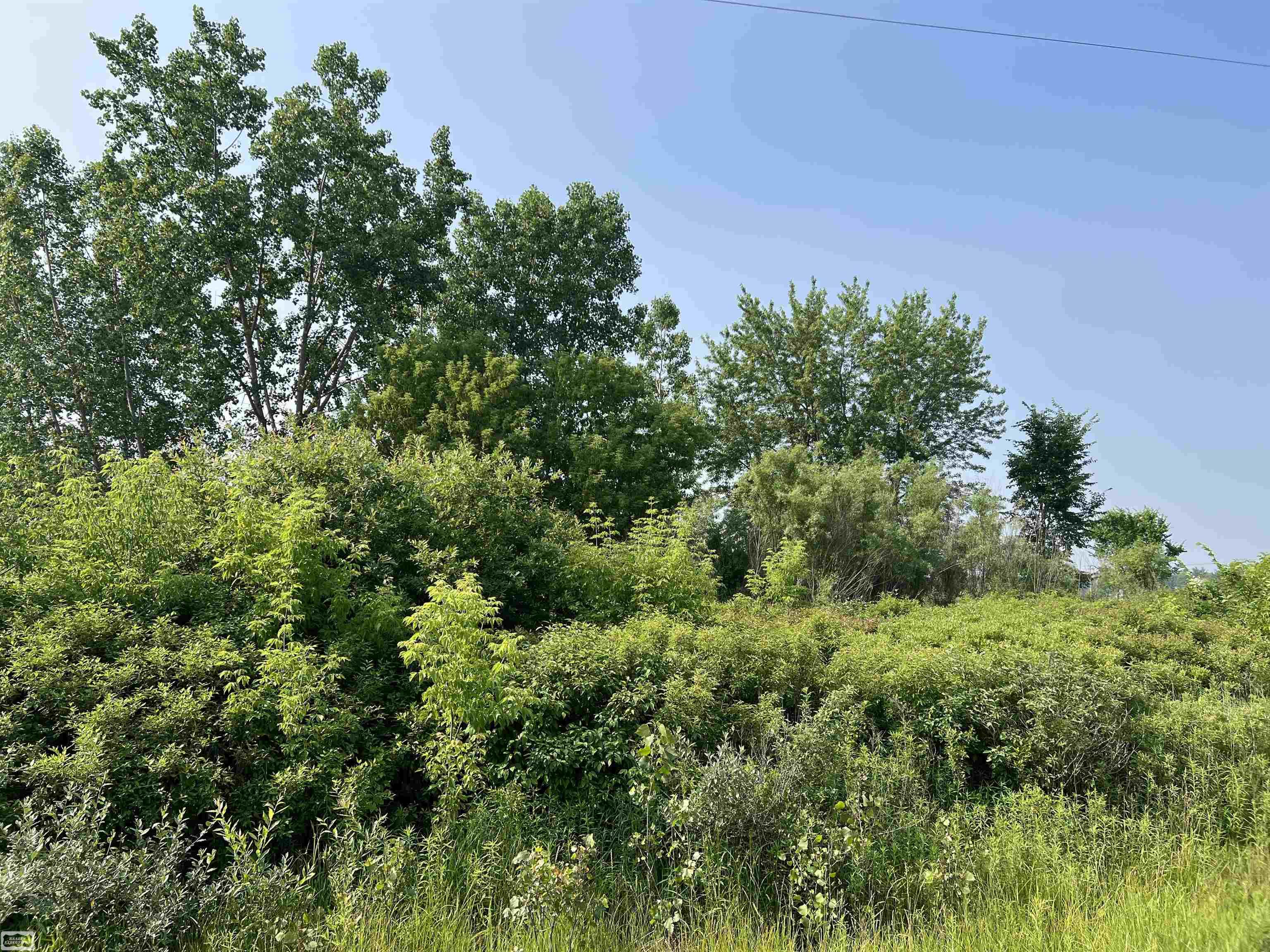 5350 Capac Road Capac, MI 48014 - Photo 8 of 11 Gallery Image 8