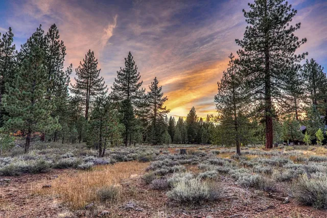 a view of backyard with green space