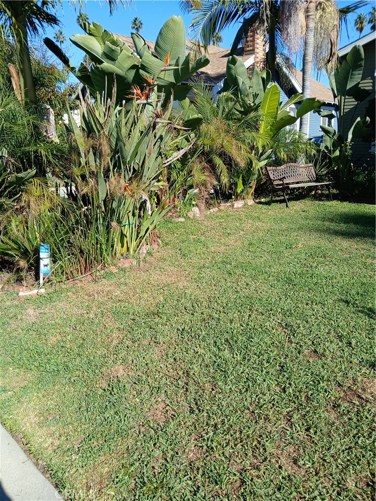4174 3rd Avenue Los Angeles, CA 90008 - Photo 2 of 5 a view of outdoor space