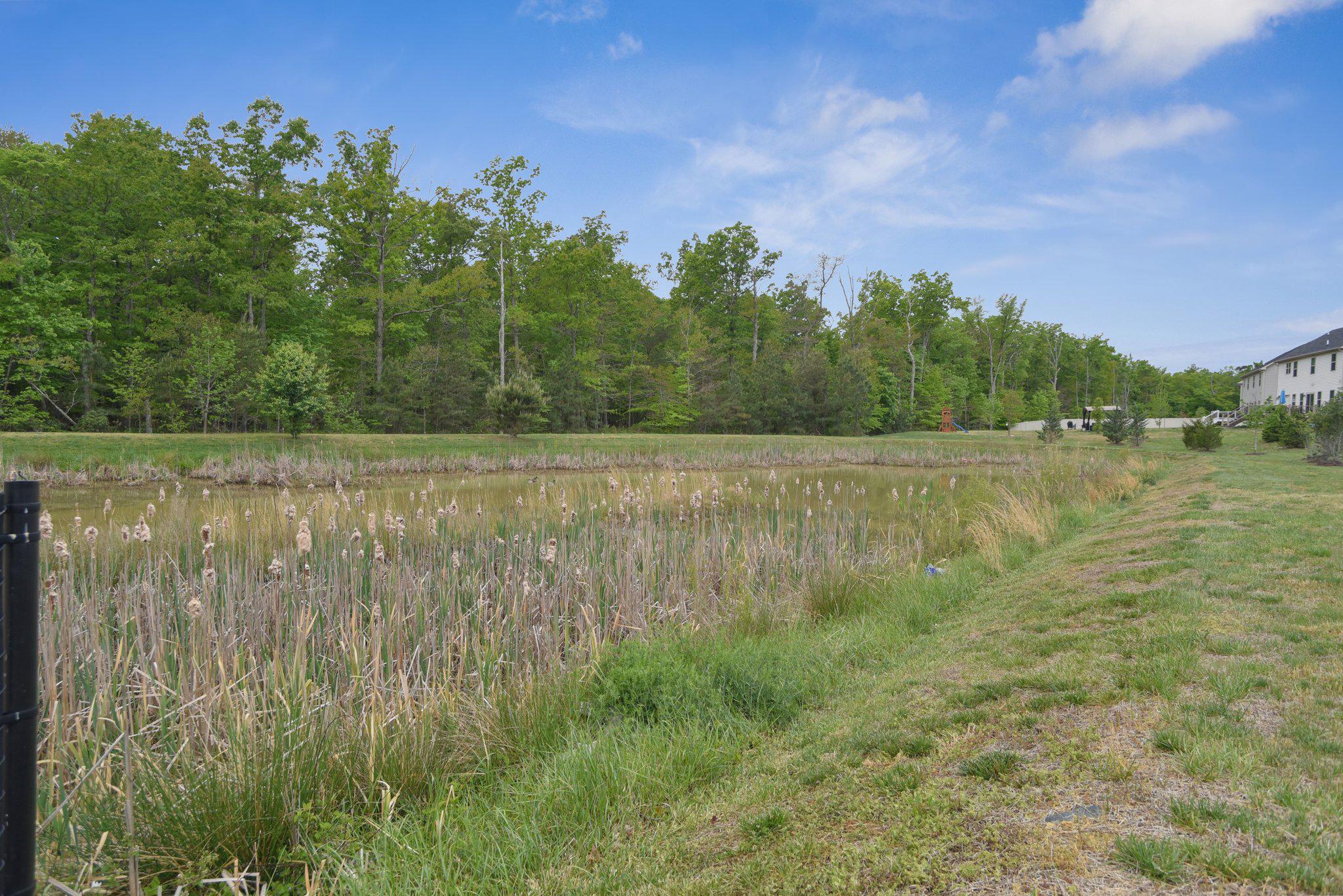 3917 Emory Ridge Road Brandywine, MD 20613 - Photo 58 of 60 Wetland/pond area at rear of property