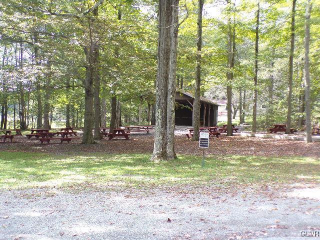 295 Lookout Point Road Canadensis, PA 18325 - Photo 31 of 41 Picnic area