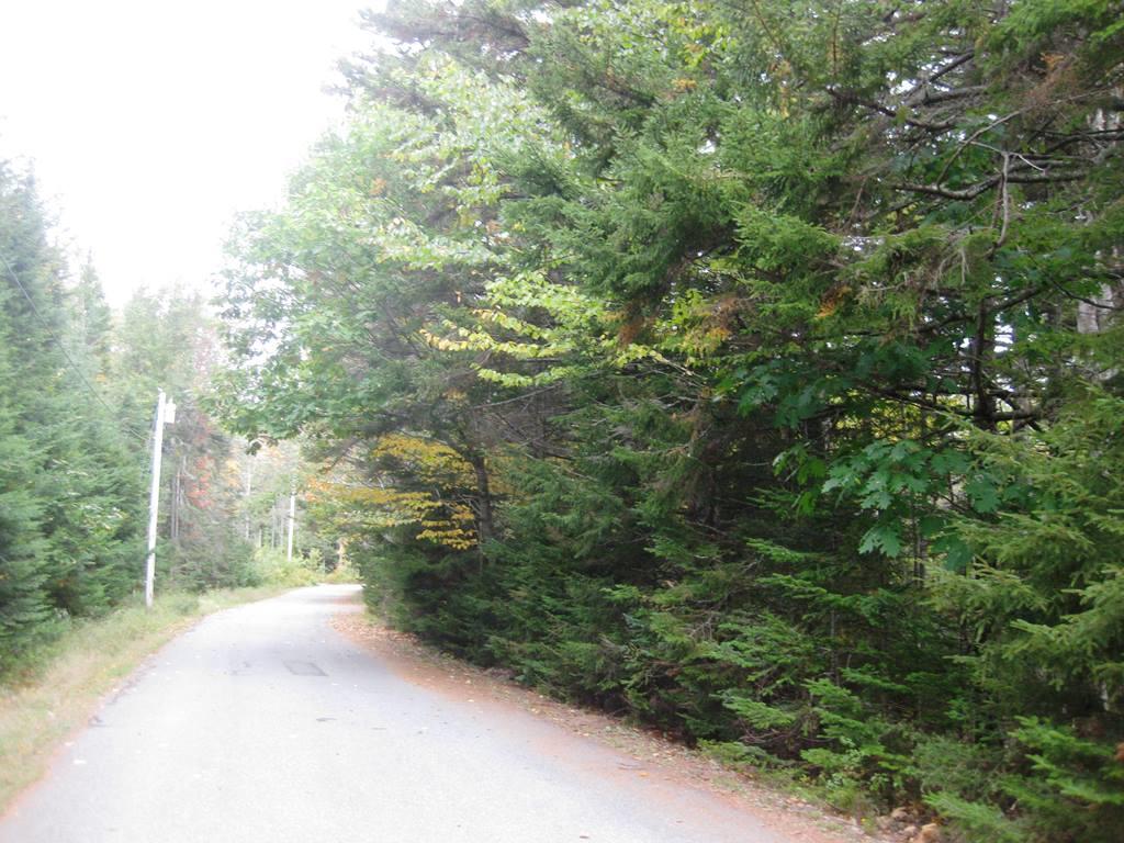 0 Kingsley Farm Road Gouldsboro, ME 04607 - Photo 14 of 21 L 14